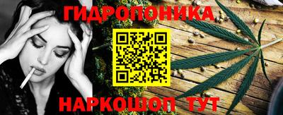 spice Кингисепп
