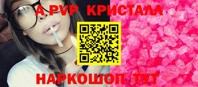 spice Кингисепп