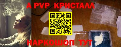 spice Кингисепп