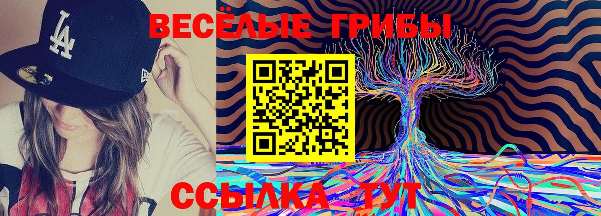 Галлюциногенные грибы мухоморы  Галлюциногенные грибы Magic Shrooms  Волхов  Вход с VPN 