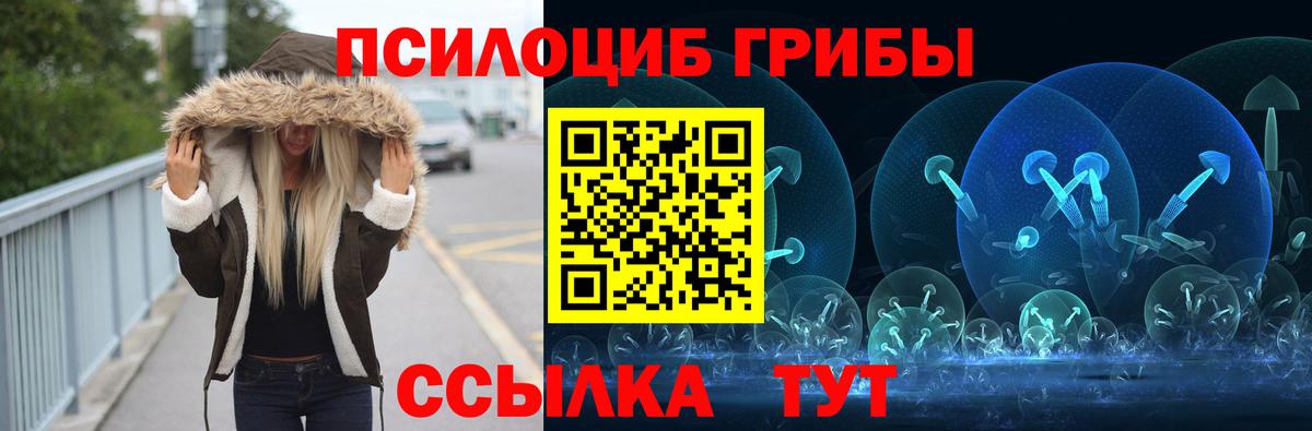 Галлюциногенные грибы мицелий Волхов
